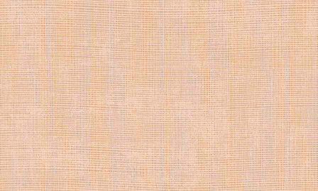 Arte Manila Tulle Nude 73089A