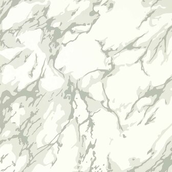 Zoffany Cotswolds Manor French Marble Grey Perfect White 313026