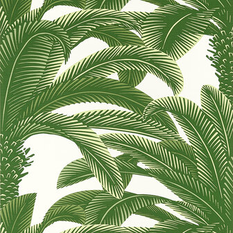 Thibaut Palm Grove Queen Palm Green  T13907