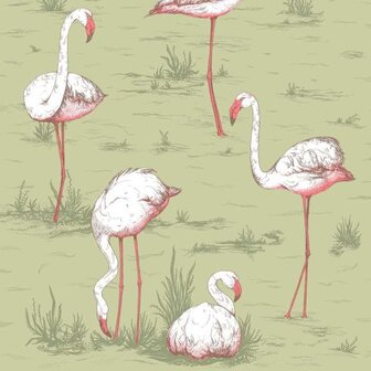 Cole &amp; Son ICONS Flamingos 112/11038