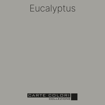 Carte Colori Elegante krijtverf Eucalyptus