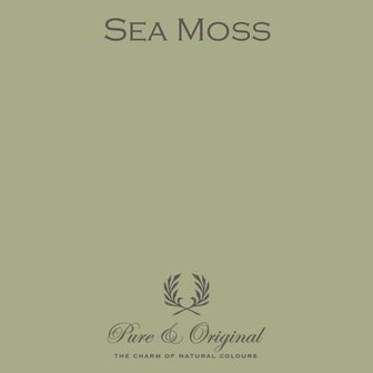 Pure &amp; Original Traditional Paint Sea Moss