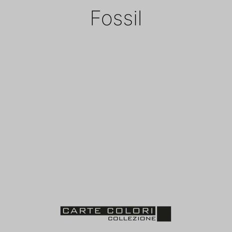 Carte Colori Puro Marrasco Paint Fossil