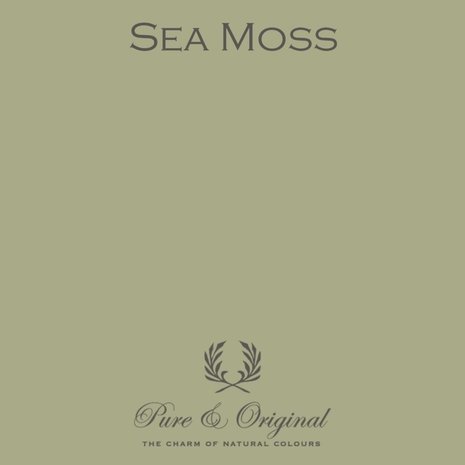 Pure & Original Traditional Paint Sea Moss